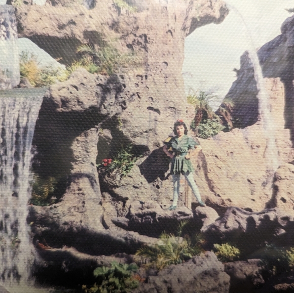 Disneyland Skull Rock from Disney Photo Archives canvas print Disney Fine Art - Picture 5 of 5